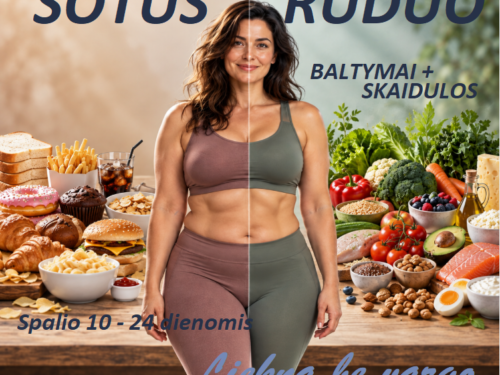 LIEKNĖJIMO PROKEKTAS SOTUS RUDUO (BALTYMAI + SKAIDULOS)